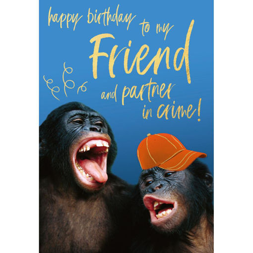 Picture of TO MY FRIEND AND PARTNER IN CRIME BIRTHDAY CARD